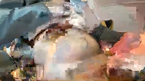 Snapshot of _ginger_boy chatting on 02/09/25, 10:20 Ginger boy online show from 02/09/25, 10:20