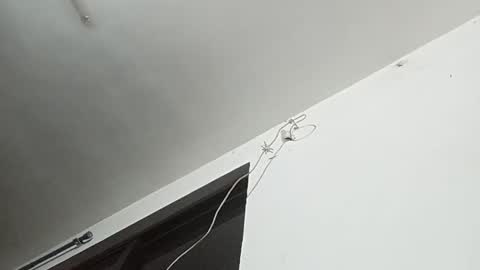 _iluvatar_ online show from 02/26/26, 04:55