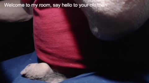 _jimmini online show from 02/21/25, 04:16