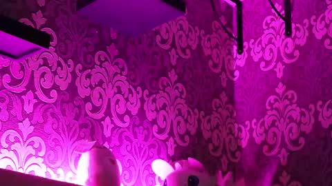 Stream  at  am in MoscowI am waiting for you very much3 online show from 02/23/25, 11:47