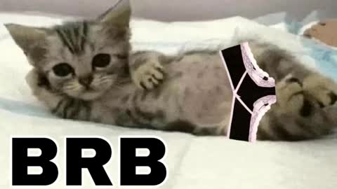 miko3 online show from 03/12/26, 09:54