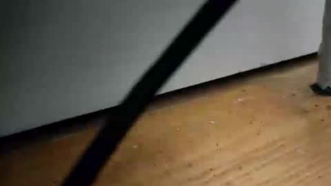 _nicetobehere_ online show from 01/16/26, 01:04