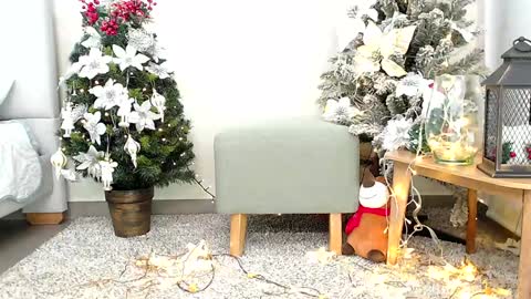 Sassy Girl online show from 12/26/24, 06:33