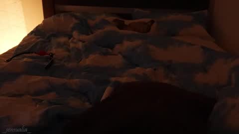 Snapshot of _sensualia_ chatting on 09/09/25, 06:07 Lia online show from 09/09/25, 06:07