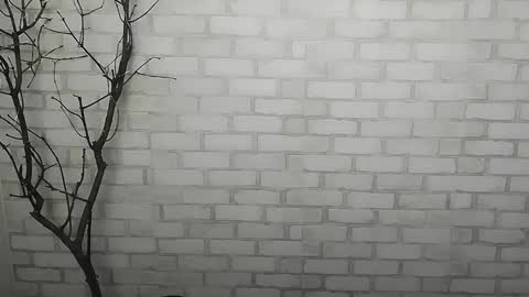 Rachel online show from 12/14/24, 01:27