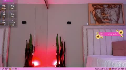 Snapshot of _sofia_cruz chatting on 01/28/25, 10:34 640 200 online show from 01/28/25, 10:34