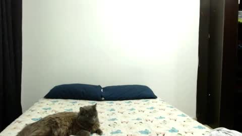 Snapshot of _sofiaparker_ chatting on 10/03/25, 04:37 Sofia Parker online show from 10/03/25, 04:37