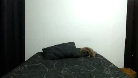 Snapshot of _sofiaparker_ chatting on 11/13/25, 03:55 Sofia Parker online show from 11/13/25, 03:55