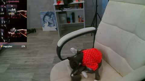 Milana   welcome to my world  online show from 02/26/25, 07:53