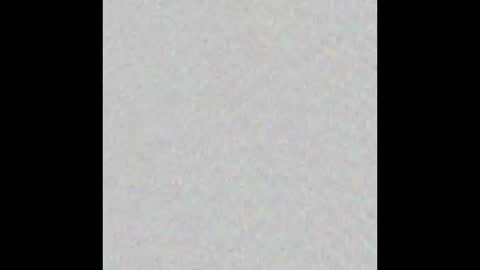 _tammarra_ online show from 01/06/26, 12:31