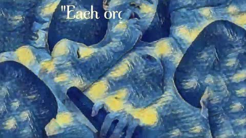 Evi online show from 12/24/24, 10:49