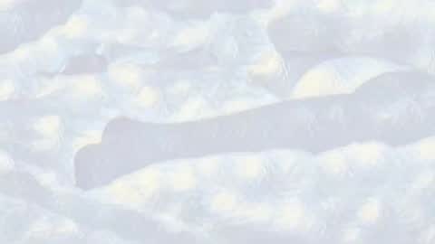 Evi online show from 01/14/25, 10:44