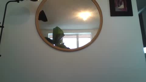 _tutti_frutti_ online show from 07/12/26, 07:16