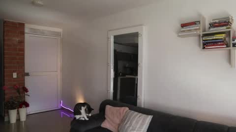 Anastasia Vahos online show from 05/14/26, 05:20