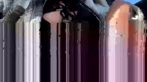 a_rae93 online show from 10/14/25, 04:19