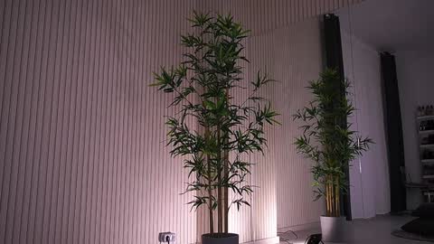 Alexa online show from 01/23/25, 09:39