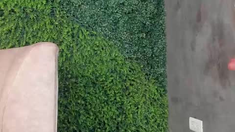 A B B Y online show from 02/11/25, 03:18