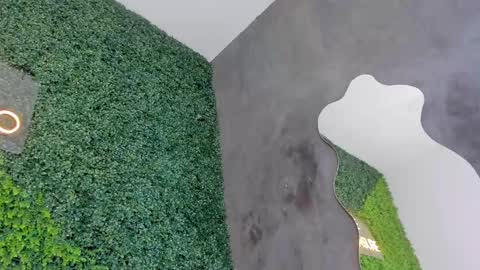 A B B Y online show from 02/12/25, 06:19