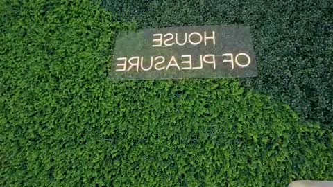 A B B Y online show from 02/19/25, 03:16