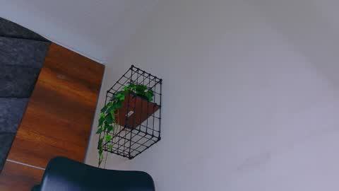 A B B Y online show from 01/08/26, 11:34