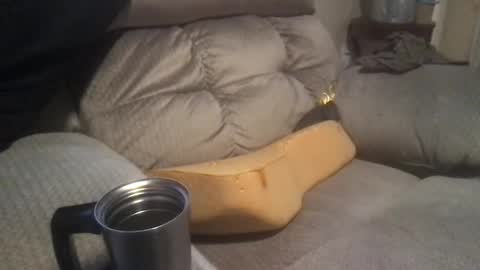 Snapshot of abe_froman2007 chatting on 01/19/25, 04:33 abe_froman2007 online show from 01/19/25, 04:33