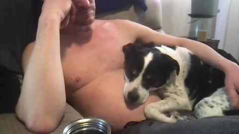 Snapshot of abe_froman2007 chatting on 03/08/25, 10:13 abe_froman2007 online show from 03/08/25, 10:13