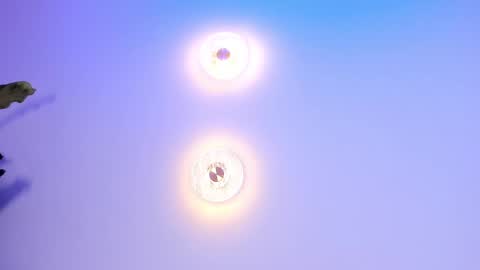 Abi online show from 09/27/25, 02:05