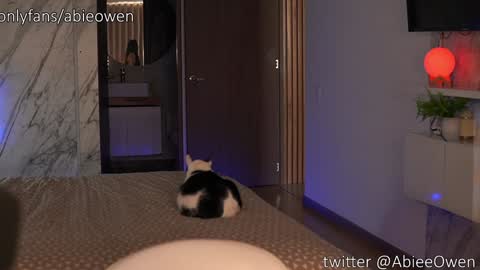 abie_owen online show from 09/28/25, 09:09