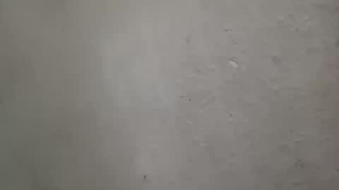 absltorres8 online show from 07/14/26, 07:57