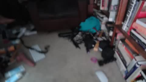 aCACiAs2022 online show from 03/01/26, 01:24