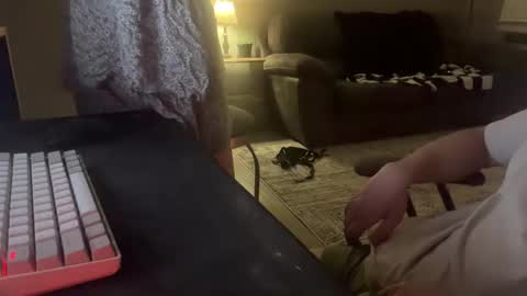 Remi and Ace online show from 04/26/26, 03:37