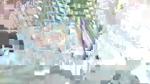 acexx8124 online show from 02/23/26, 02:14