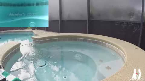 Snapshot of adamevetv chatting on 11/29/25, 06:00 Adam And Eve online show from 11/29/25, 06:00