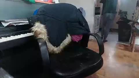 Snapshot of adamk3 chatting on 02/18/26, 09:22 Adam and Logan online show from 02/18/26, 09:22