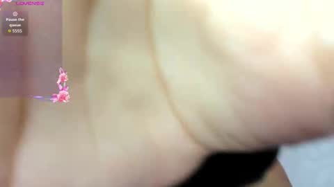 ADAMS Y NIKI online show from 11/03/25, 12:39