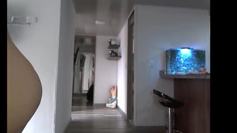 eva online show from 02/10/26, 04:00