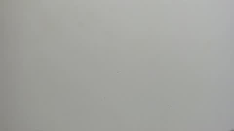 adbel sady online show from 01/15/25, 11:10