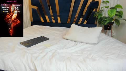 adbel sady online show from 02/06/25, 02:15