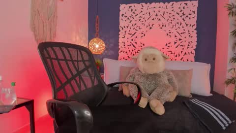 adonis_wb online show from 01/15/26, 04:39