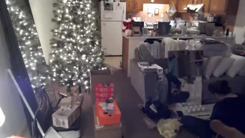 adorable22 online show from 12/20/24, 10:22