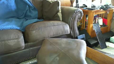 This is a temp room please follow excelsior62 by clicking the link below online show from 06/27/26, 02:44