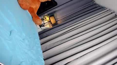 Adriana online show from 03/04/25, 10:57