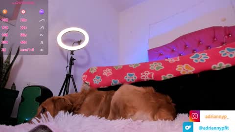 adrianny online show from 09/18/25, 01:18