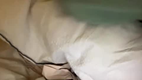 Snapshot of adriiii7878 chatting on 01/24/25, 08:11 adriiiii online show from 01/24/25, 08:11