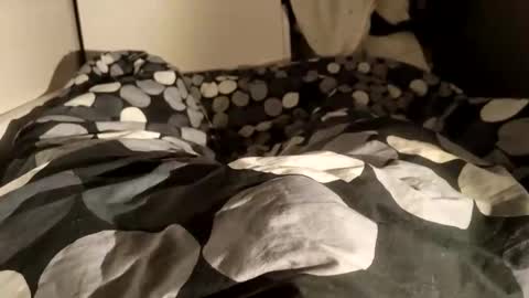 adrisex2002 online show from 12/28/24, 08:58