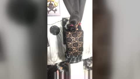 afroluz online show from 04/27/26, 02:20