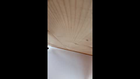 ag_23 online show from 04/21/26, 08:34