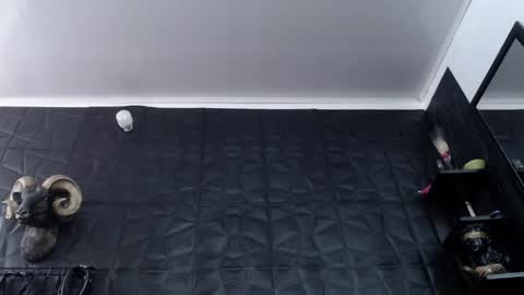  Miss Agata  online show from 04/27/26, 06:17