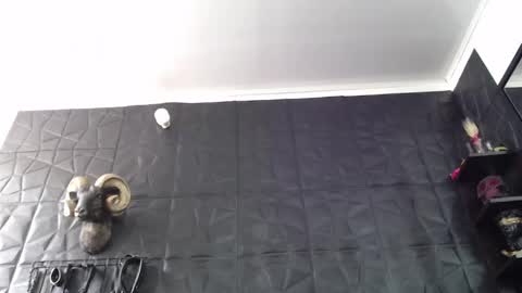  Miss Agata  online show from 05/25/26, 03:29