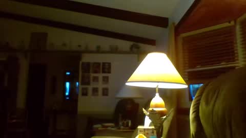 aguynrkfrd online show from 01/02/25, 11:41